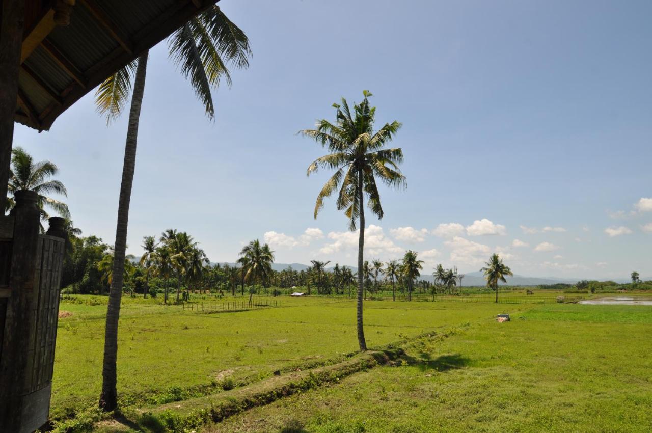 Sunset Homestay By Harry & Mimin Telaga Esterno foto