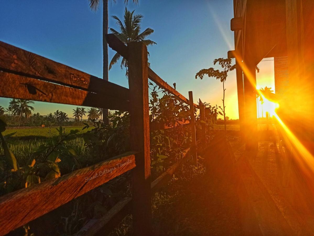 Sunset Homestay By Harry & Mimin Telaga Esterno foto