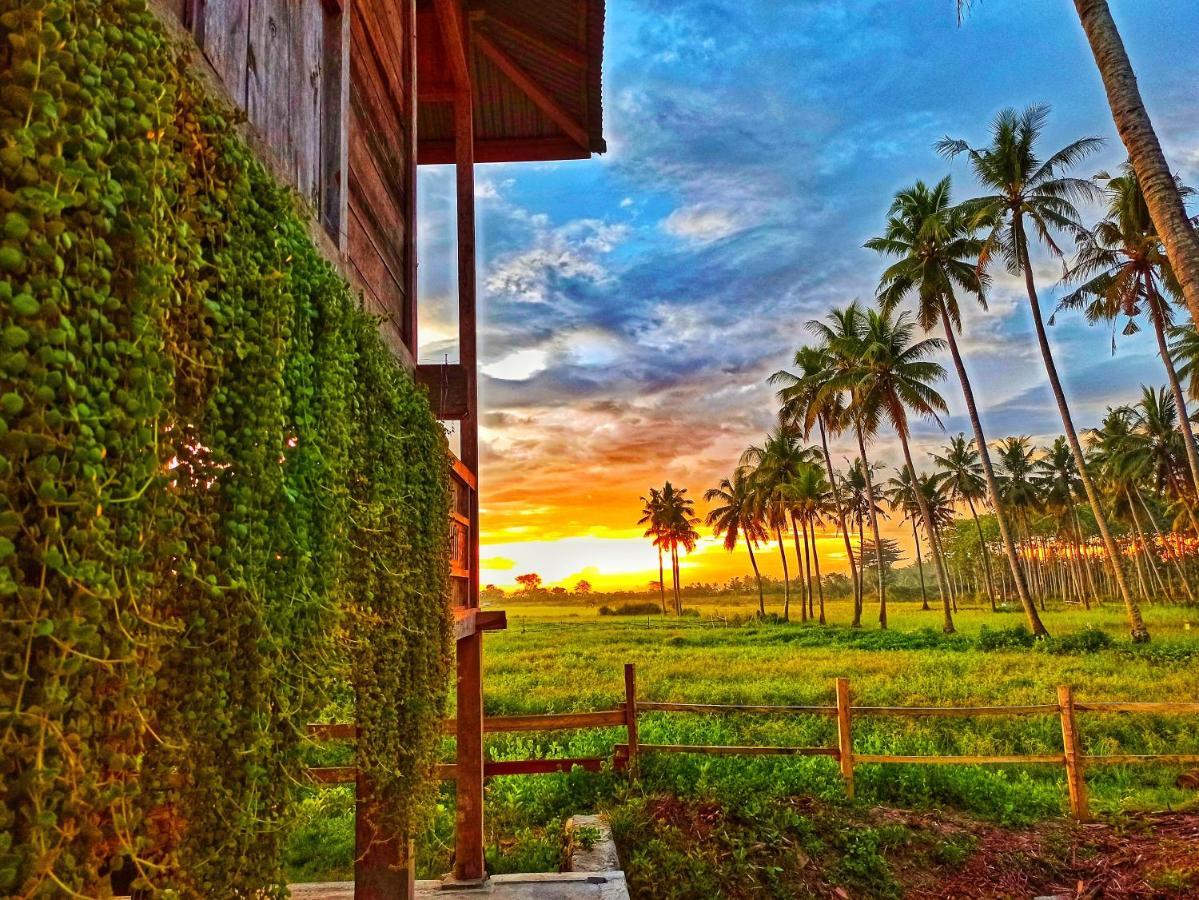 Sunset Homestay By Harry & Mimin Telaga Esterno foto