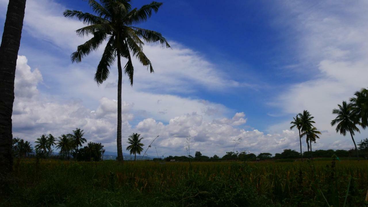 Sunset Homestay By Harry & Mimin Telaga Esterno foto